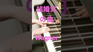 Download lagu 結婚式の曲（婚礼の合唱）を弾いてみた　#shorts #弾いてみた #結婚式 #bridal mp3