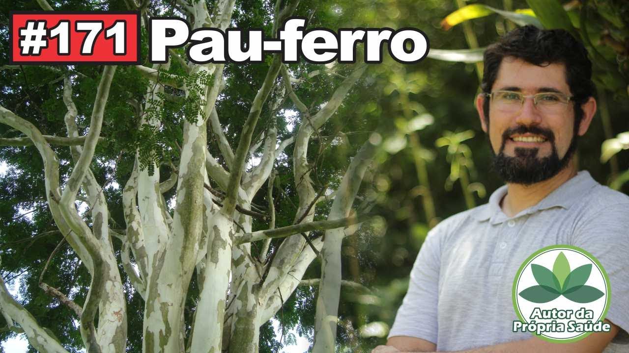 Autor da Própria Saúde - Pau-ferro [diabetes, úlceras, hipertensão, inflamações, dor, cicatrizante]