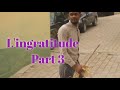 L Ingratitude Part 3 Ashley Anna Dyesibon Bryan
