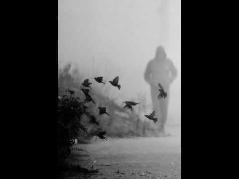 Bruno Martini & New Hope Club - Somebody That You Loved