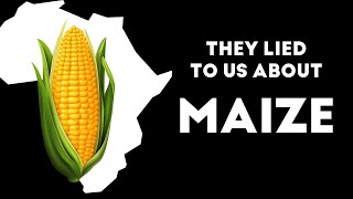 Download lagu How exactly did maize become most of  Africa's staple food - A Brief History mp3
