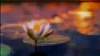 LA VIE QUI GAGNE ( CREATION BOBETTEJO )