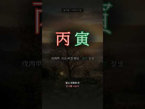 막 떠오르는 아침 해 | 병인(丙寅) 일주