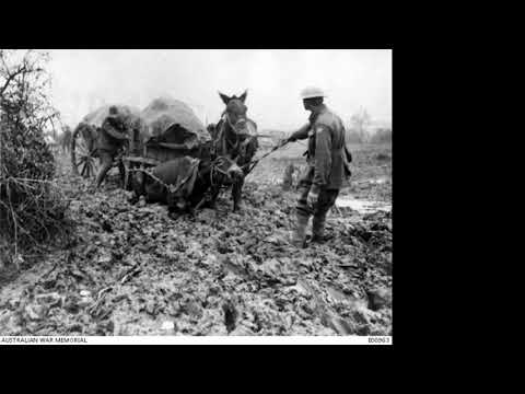 Sheep On The Somme - behind the images (3 poems)