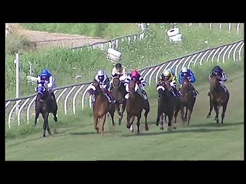 Napoli Galoppo 07/07/2021 - 3ª corsa