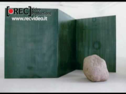 Leeufan biennale video informativo