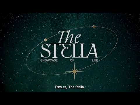 The Stella Cozumel - Video thumbnail 1