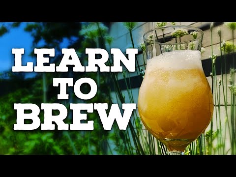 HOME BREWING 101: How to Brew Beer at Home [The Beginner's Guide]