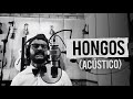 Ricardo Arjona - Hongos (Cover)