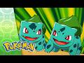 Hokey Pokéballs POKÉMON FULL EPISODE 34 Season 7