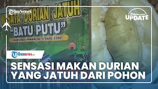 Makan Durian yang Langsung Jatuh dari Pohon di Bandar Lampung, Harus Reservasi jika Akan Berkunjung
