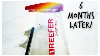 Red Sea Reefer Skimmer RSK 900 - Thoughts 6 Months Later -  Review and Deep Clean