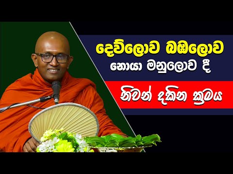දෙව්ලොව බඹලොව නොයා මනුලොව දී නිවන් දකින ක්‍රමය | Pitigala Dammavineetha Thero