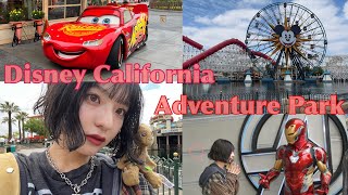 Los Angeles vlog |カリフォルニアディズニーDay🇺🇸🏰|アベンジャーズキャンパス|カーズランド🫐