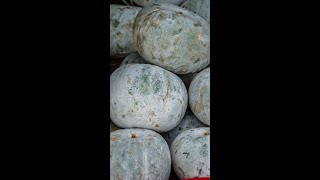 இனி வேஸ்ட் ஆகாது... Start using your fridge the right way!