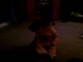 Baby And Barney