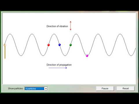 Transverse waves animation