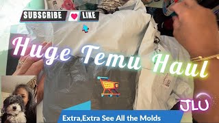 Temu Haul - So Many New Silicone Molds, Craft Supplies and More👩🏽🎨🖼️🤗