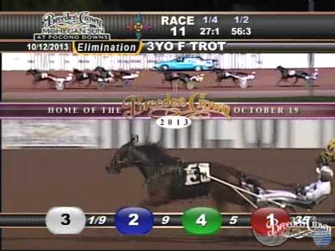 Bee A Magician  - 2013 Breeders Crown Elimination - Three-Year-Old Trotting Fillies