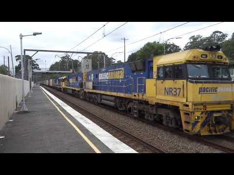 NR37 / NR53 / 8184 with PN 5BS6 - 12/3/21