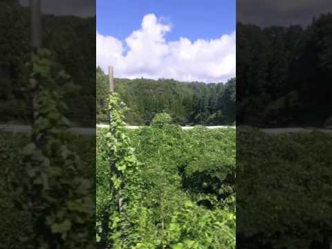 機械情報工学科 のと鉄道 西岸→能登鹿島