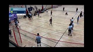 混合小組Dugongs 2￼