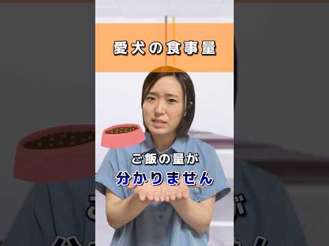 愛犬のご飯の量ってどのくらい？