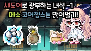 섀도어 광부 일기 전설의 광부가 되기위한 첫걸음!! 하지만 메획이 40%가 없다??