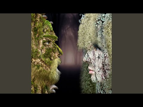 The Ent & The Entwife