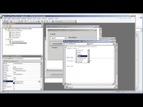 VBA Programming for Excel 2010 - V4.07 - UserForm GUI - Changing the Font Properties Programtically