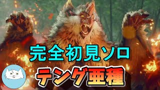 【モンハン サンブレイク】完全初見ソロでビシュテンゴ亜種に挑む！！【モンハン】【実況】