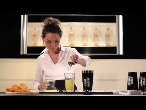 ABSOLUT BAR - Absolut Mandrintini