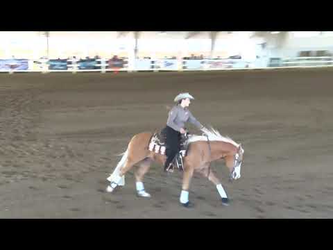 190816 NP Molly Morgenstern on Wimpys Little Freckl