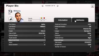 Theme Team #2 Silver Prems