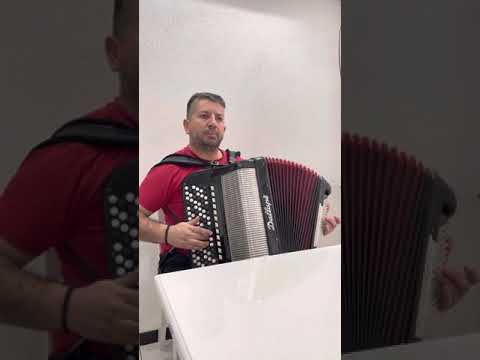 Skola harmonike Bojan Nesic - Micina setnja