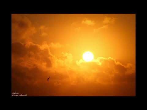 Lidia Cirlan - La inceput era Cuvantul