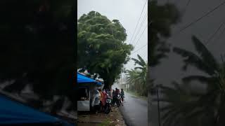 Download lagu LIGHTNING STRIKES A TREE FALLING ON A PERSON BELOW #simulasiai #ai mp3 Download lagu LIGHTNING STRIKES A TREE FALLING ON A PERSON BELOW #simulasiai #ai mp3