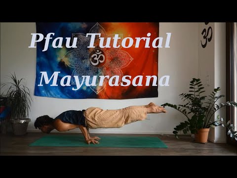 Yoga Pfau Tutorial | Mayurasana | Peacock | Anfänger - Fortgeschrittene | Deutsch