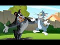 Tom And Jerry Cartoon 2022 Tom And Jerry New Episode 3