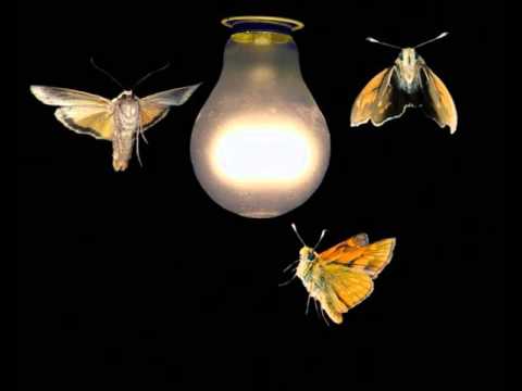 Today's Tango Is... El Viejo Vals - Francisco Rotundo 10-12-1951