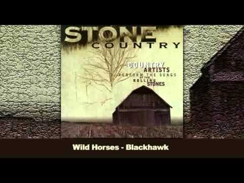 Wild Horses video thumbnail