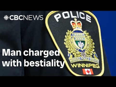 2 cats, kitten removed from home of Winnipeg man charged with bestiality