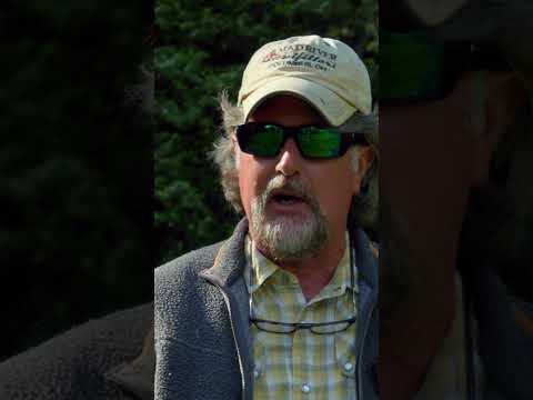 A Common Fly Casting Mistake