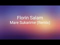 Florin Salam - Mare Sukarime (Remix)