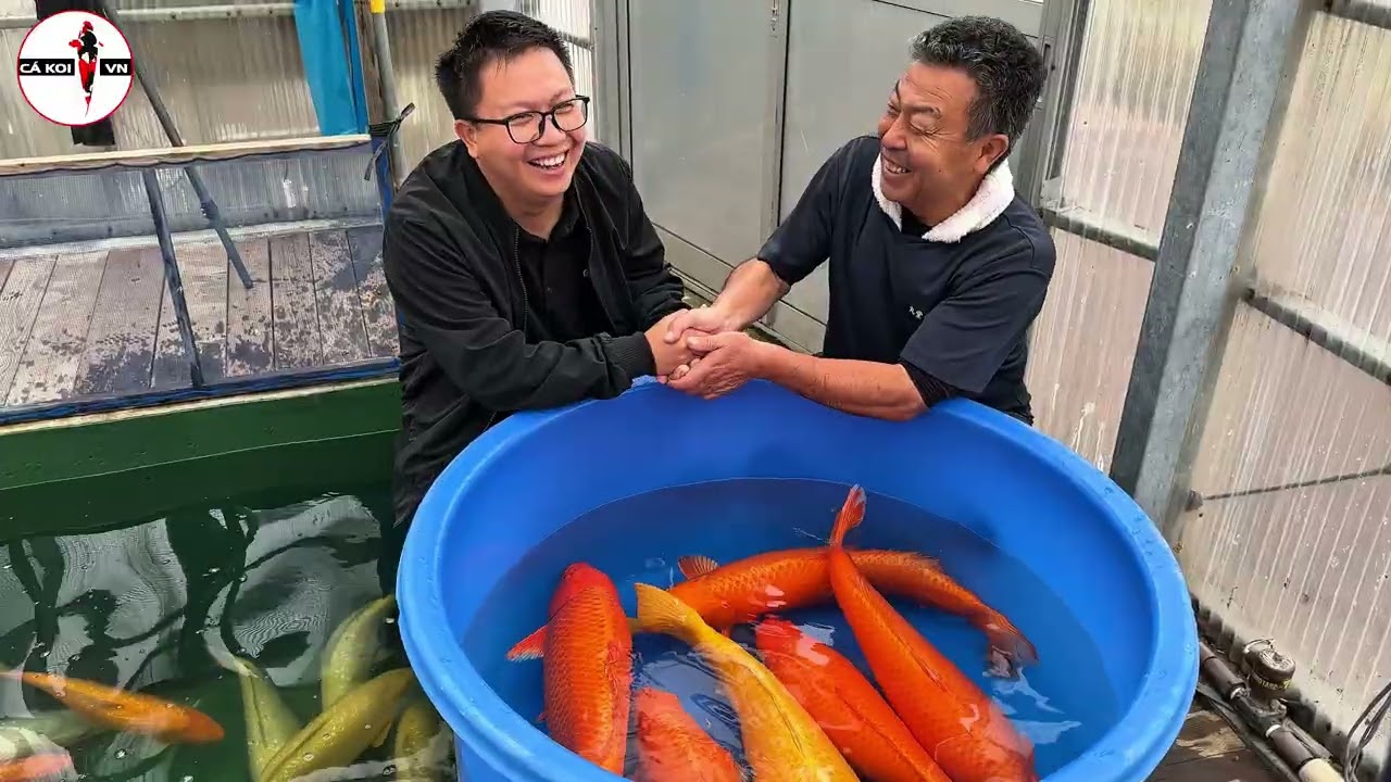 Video giới thiệu