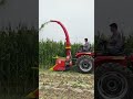 Small Agricultural Machine Silage Harvester Farm Equipment