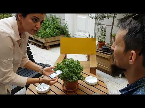 Gamayun: The Language Equality Initiative