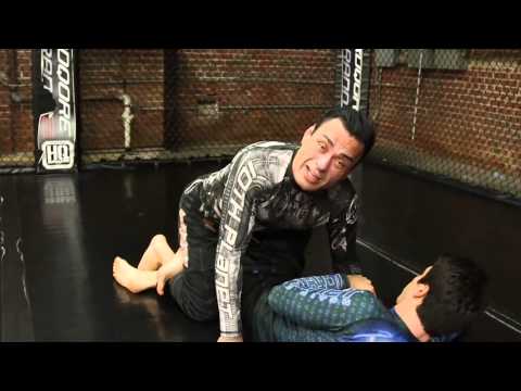 Eddie Bravo   Vaporizer From Top Stoner Control