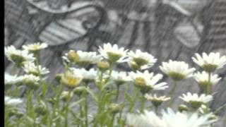 Ricordi del Cuore ... Amedeo Minghi ...