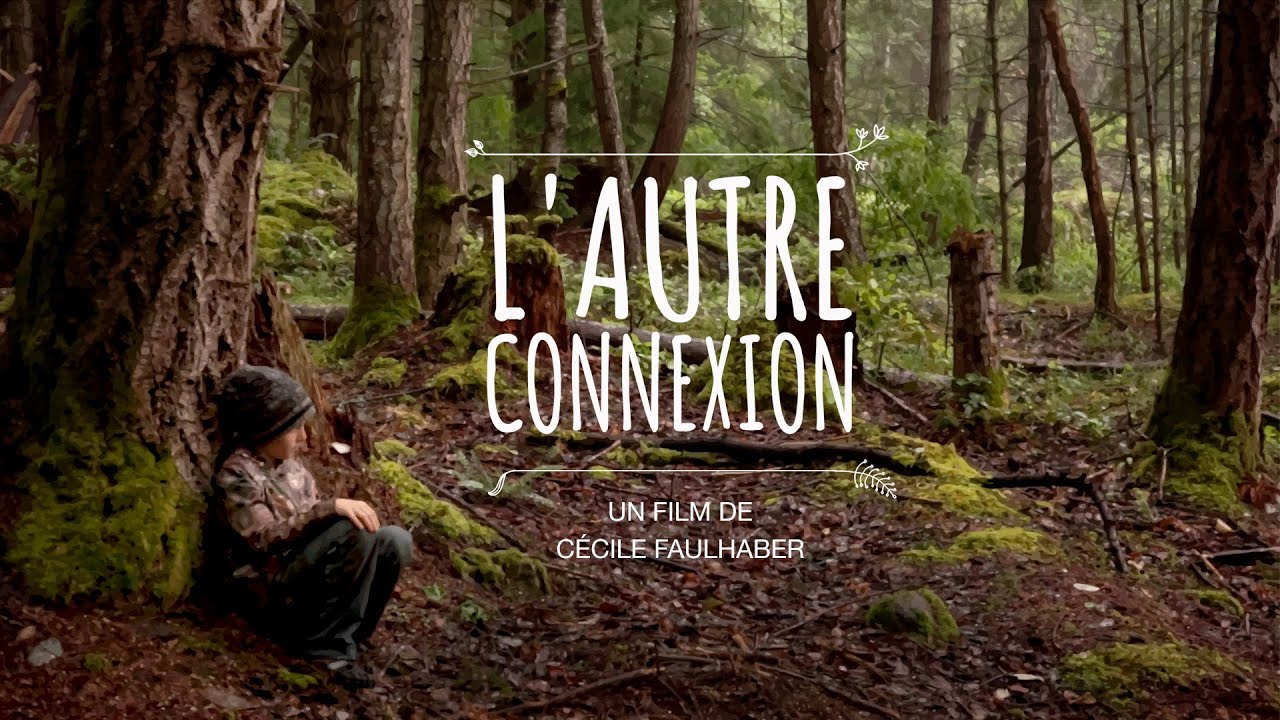 Bande Annonce - L' autre connexion